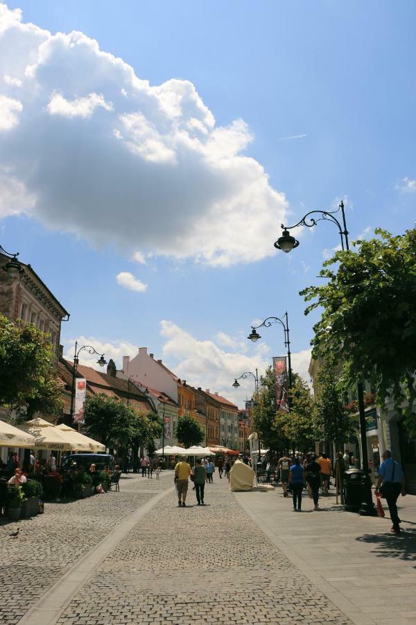 Corso Comfort Apartments Sibiu Eksteriør billede